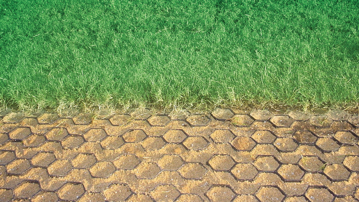 Grass growing through installed NDS EZ Roll grass paver cells