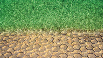 Grass growing through installed NDS EZ Roll grass paver cells